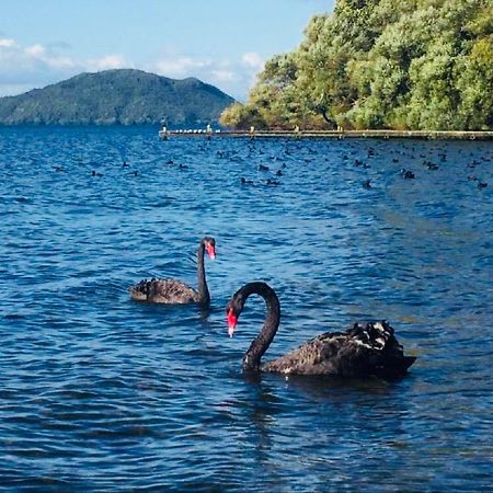 Gemini Lodge Rotorua Luaran gambar