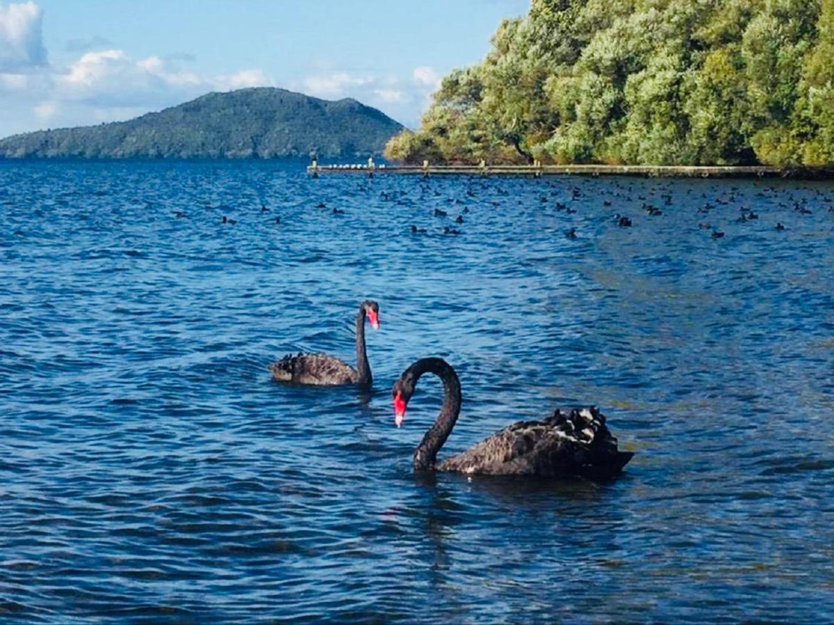 Gemini Lodge Rotorua Luaran gambar